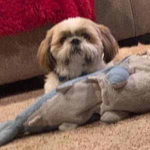 Meet your Posher, Macy